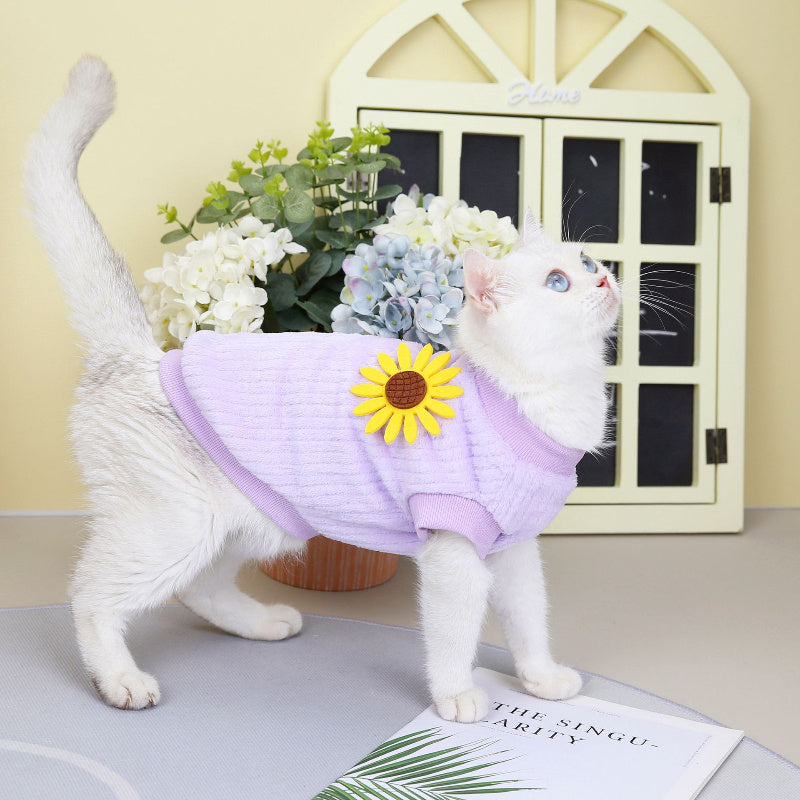 Clothes For Cats