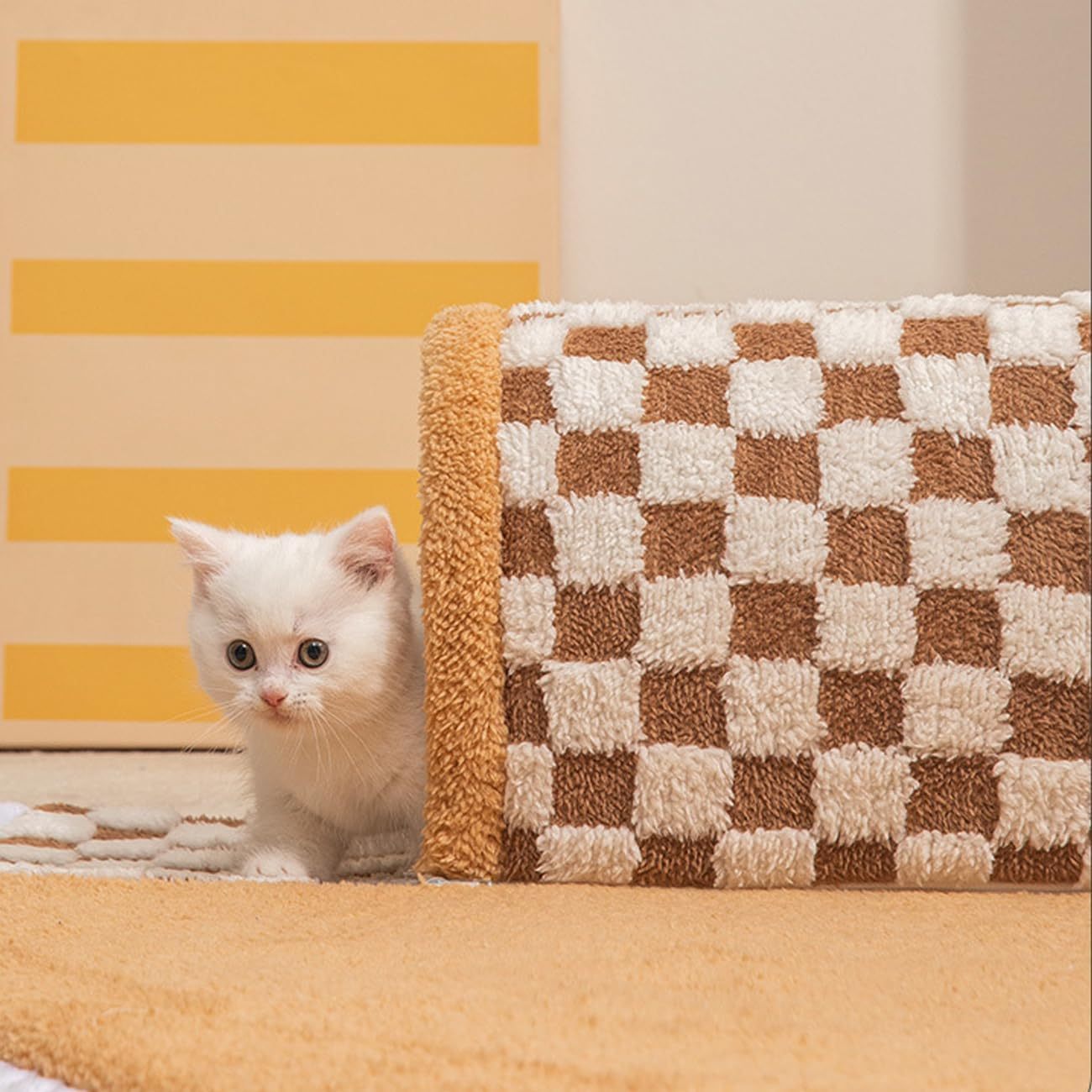 Cat Tunnel