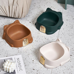 Pet Food Bowl