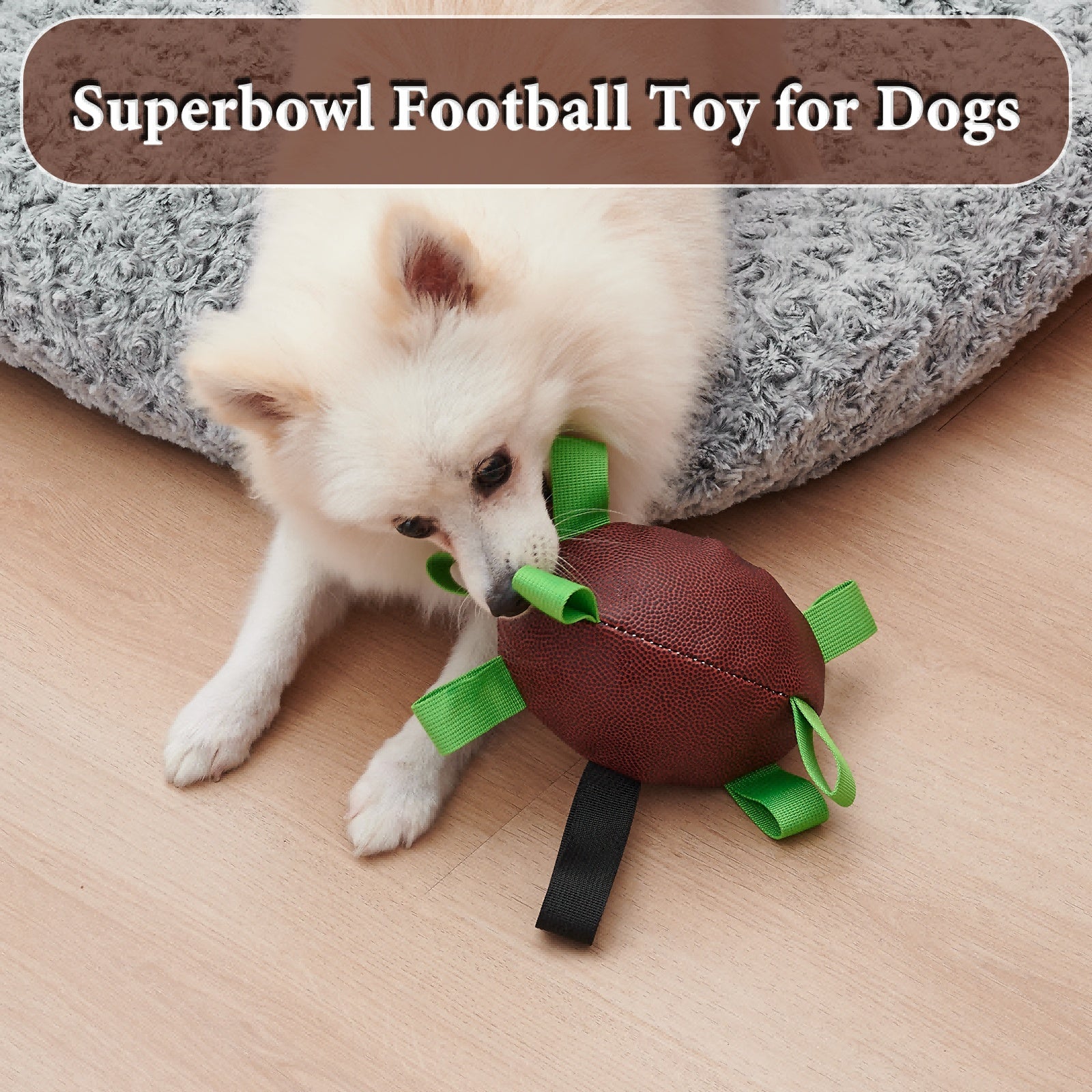 Dog Rugby Football