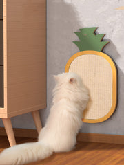 Cat Scratching Board