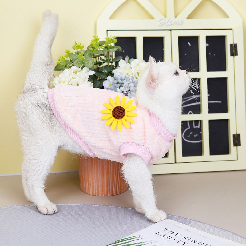 Clothes For Cats