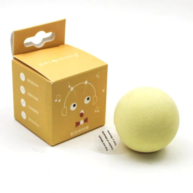 Play ball for the cat