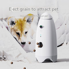 Smart Pet Play With Camera Play Tableware Cat And Dog Feeder