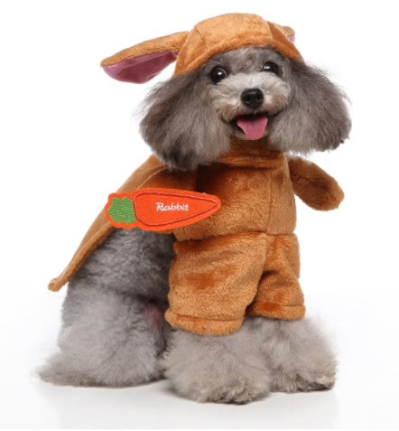 Dog costume Halloween Christmas Dress