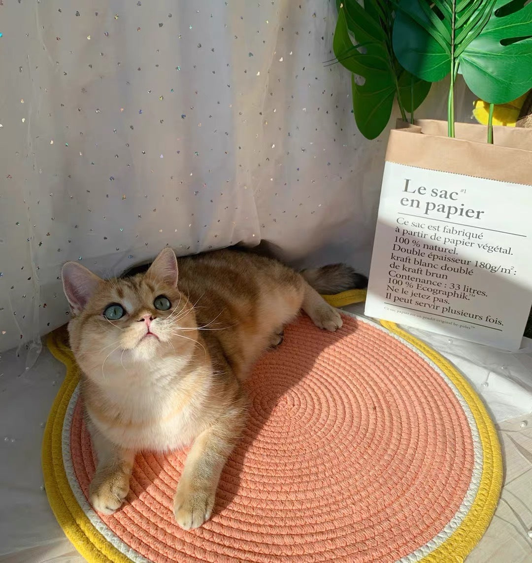 Cat Scratching Board