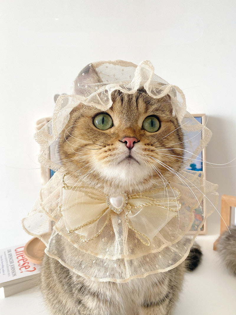Clothes for cats