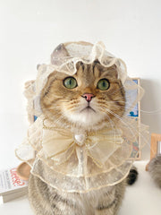 Clothes for cats
